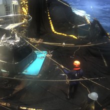 Gallerie5-vlcsnap-2019-07-09-10h08m02s082.png