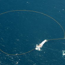 tuna catch