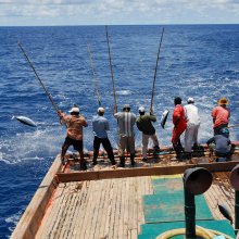 pole and line fishing
