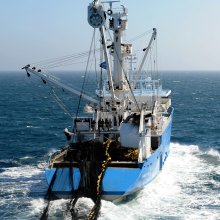tuna purse seiner campaign